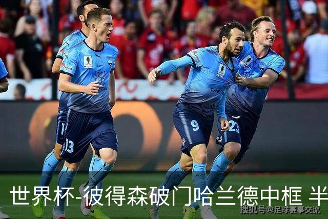 世界杯-彼得森破门哈兰德中框 半场挪威1-0塞内加尔